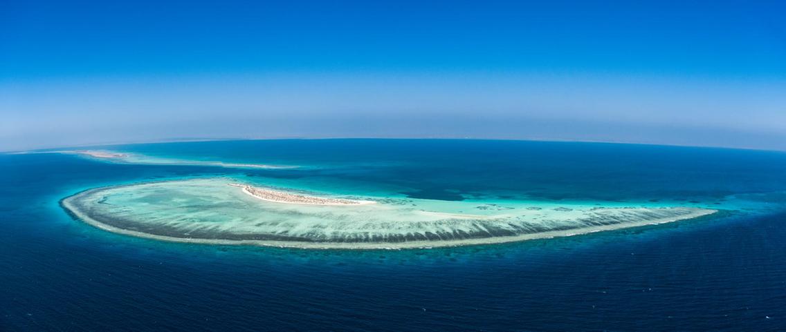 The Red Sea Project includes a vast archipelago of more than 50 untouched islands with direct access to pristine and thriving coral reefs.