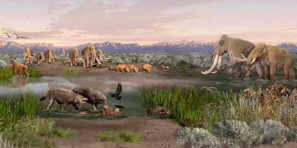  Pleistocene epoch. ( NPS Photo )