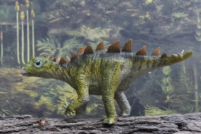 Stegosaurus baby
