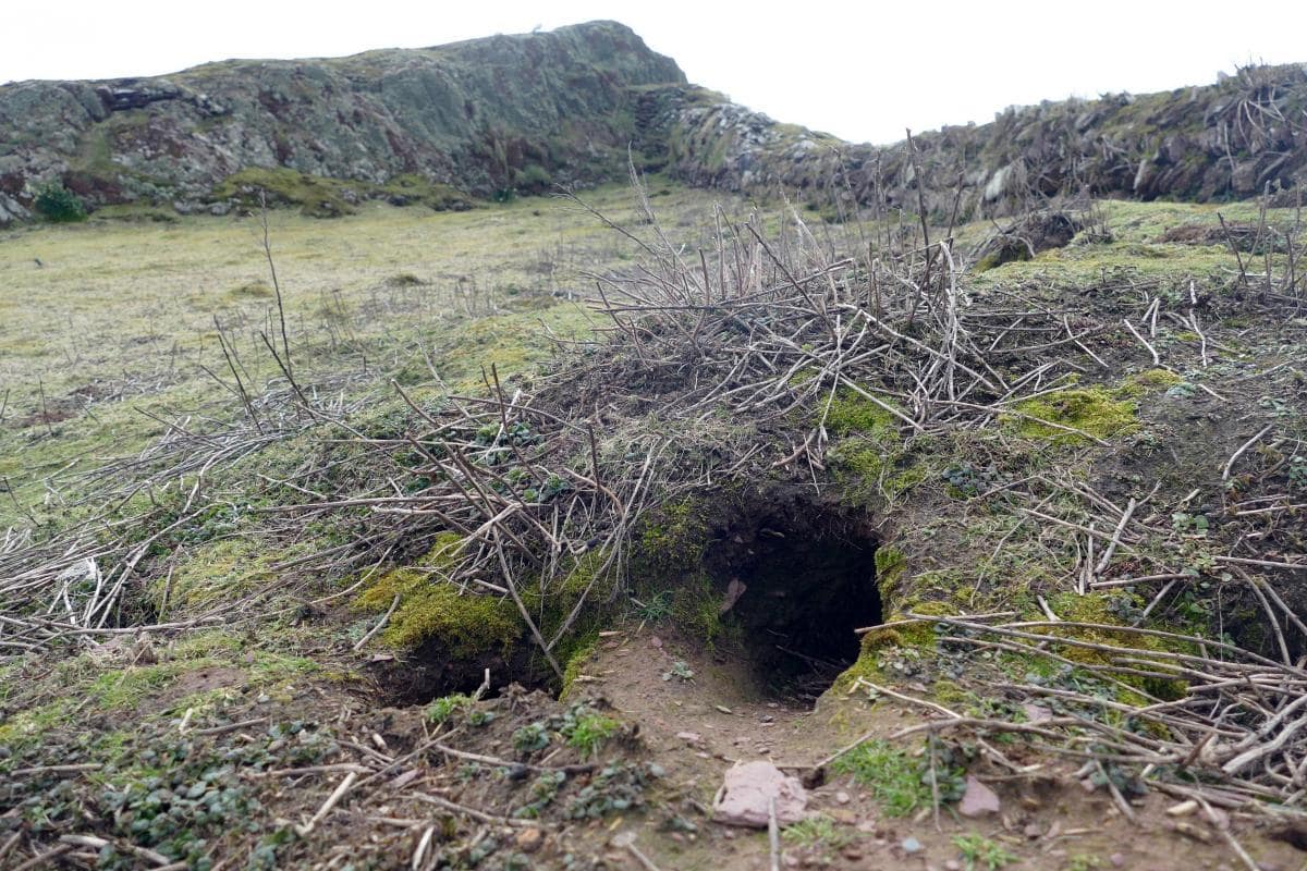 The rabbit hole where the bevelled pebble was found