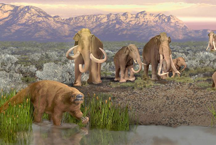 Artist’s depiction of the late Pleistocene landscape with some of the megaherbivores that became extinct. Artist’s depiction of the late Pleistocene landscape with some of the megaherbivores that became extinct.