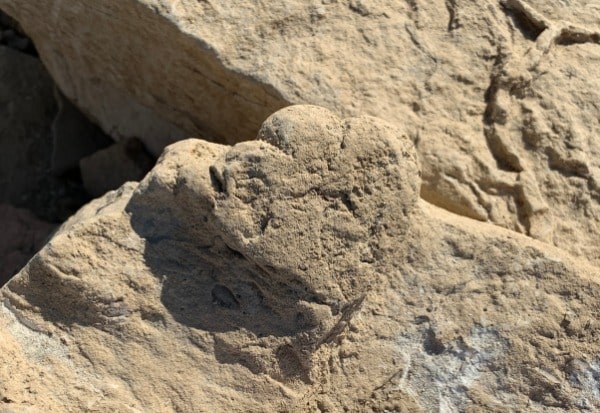 A track left by a juvenille stegosaurus discovered in Xinjiang Ugyur autonomous region. The track measures 5.7 centimeters. [Photo: China Daily]