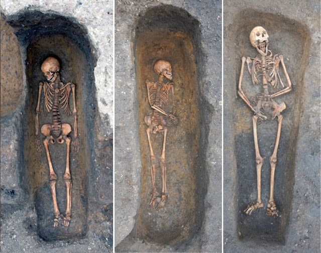 Individuals buried in the chapter house of the Augustinian friary, Cambridge, who died of plague  Photo: Cambridge Archaeological Unit