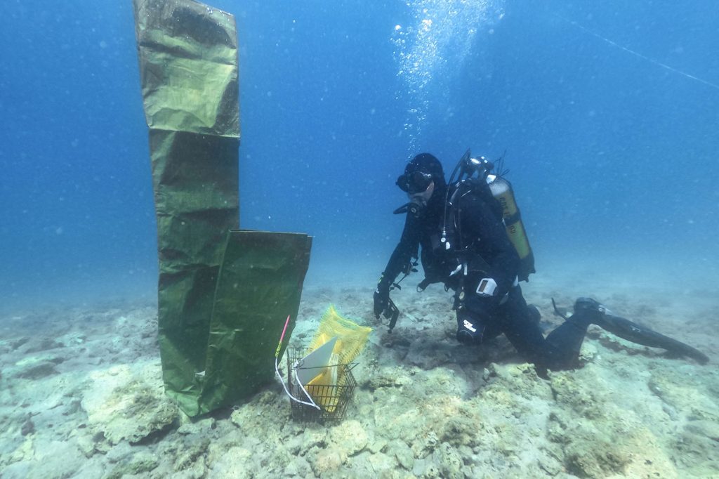 Archaeologist diver is seen at a Neolithic settlement in Lumbarda, Croatia