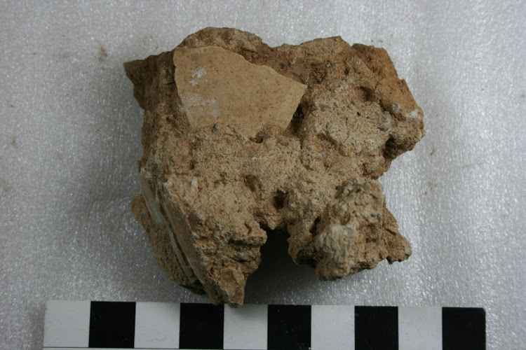 A fragment of ancient ostrich shell embedded in calcrete from Bundu Farm. Photo: Philip Kiberd