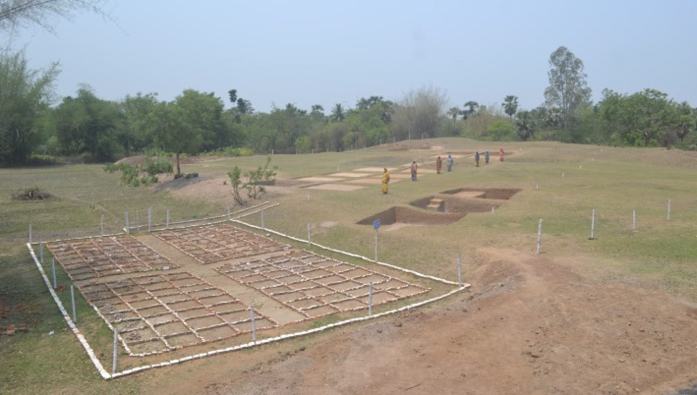 Odisha-4000-year-old-settlement