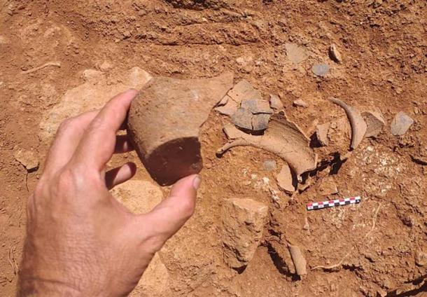 Roman artifacts like these pottery fragments were found in one area of the Son Catlar dig site. ( University of Alicante )