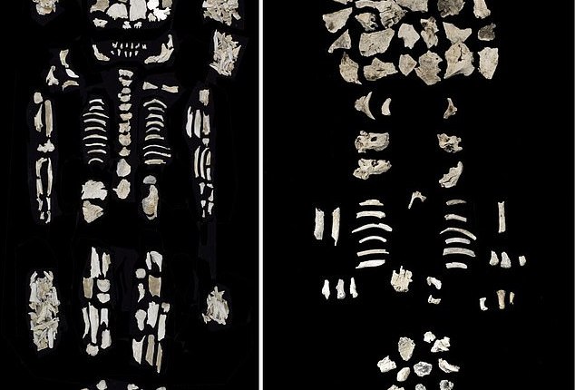 The cremated remains of a high-status woman (left) and two foetuses (right) have been found in a Bronze Age grave in Hungary