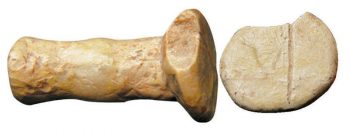 Çavlum seal
