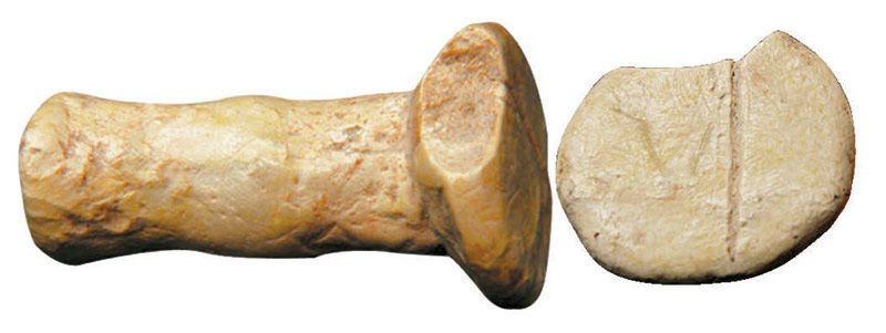 Çavlum seal