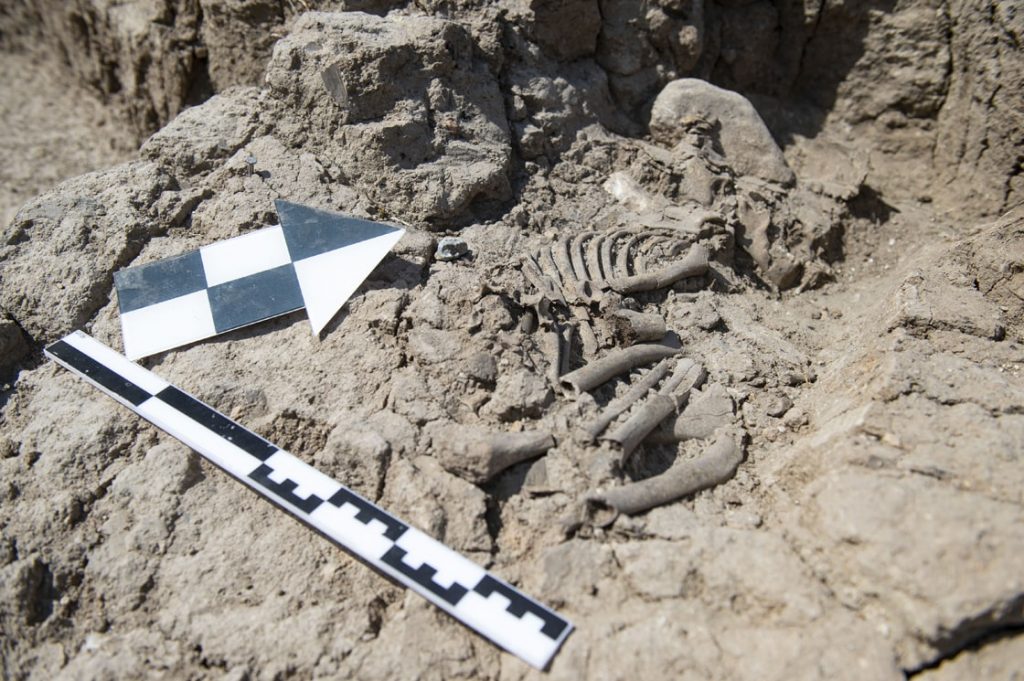 Child skeleton found at the Tuzkoparan Höyük rescue excavation Photograph AA