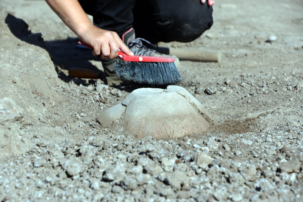 A close-up of an archaeologist's hand in Domuztepe Mound, Kahramanmaraş, southern Turkey. (AA Photo)