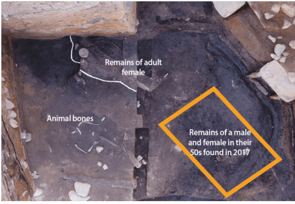The remains of adult female were discovered just 50 centimeters (1.64 feet) above the remains found in 2017. [CULTURAL HERITAGE ADMINISTRATION]