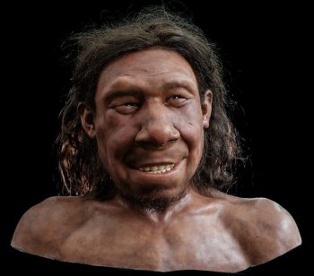 neanderthaler krijn