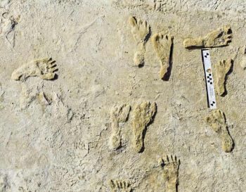 White Sands National Park Human Footprints