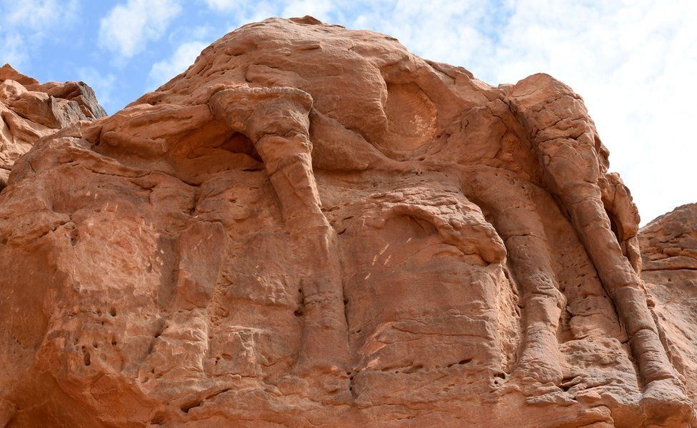 camel carvings