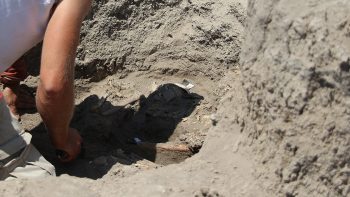Çatalhöyük