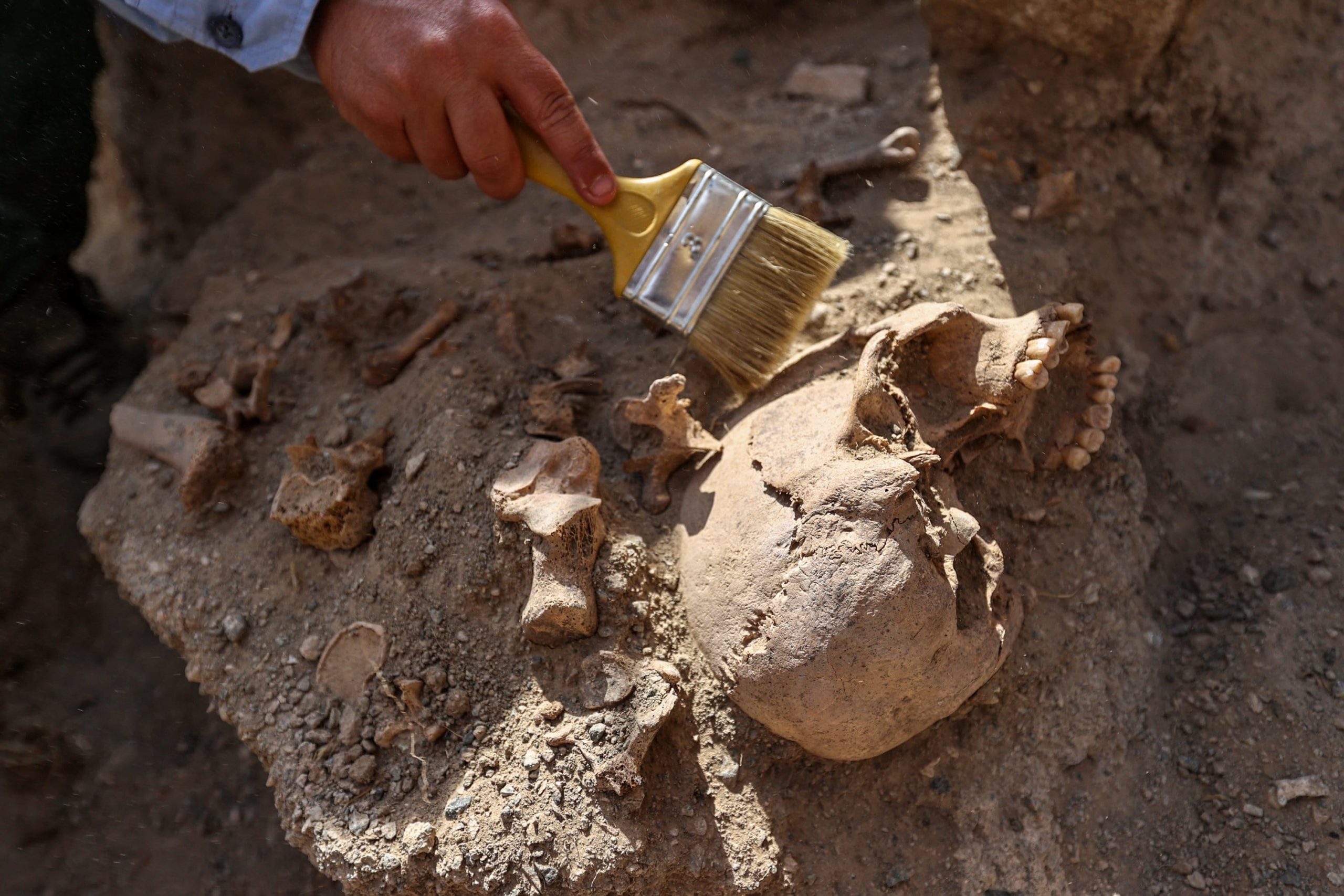 Çavuştepe castle new burial