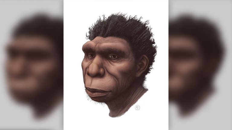 Homo Bodoensis may be the ancestor of modern humans - Arkeonews