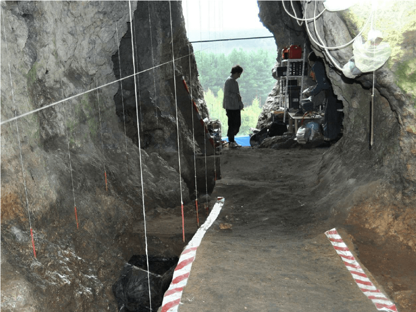 The Stajnia Cave is one of the most important archaeological sites due to the finds of the first remains of Neanderthals in Poland, and several tens of thousands of flint artifacts from the Middle Palaeolithic.