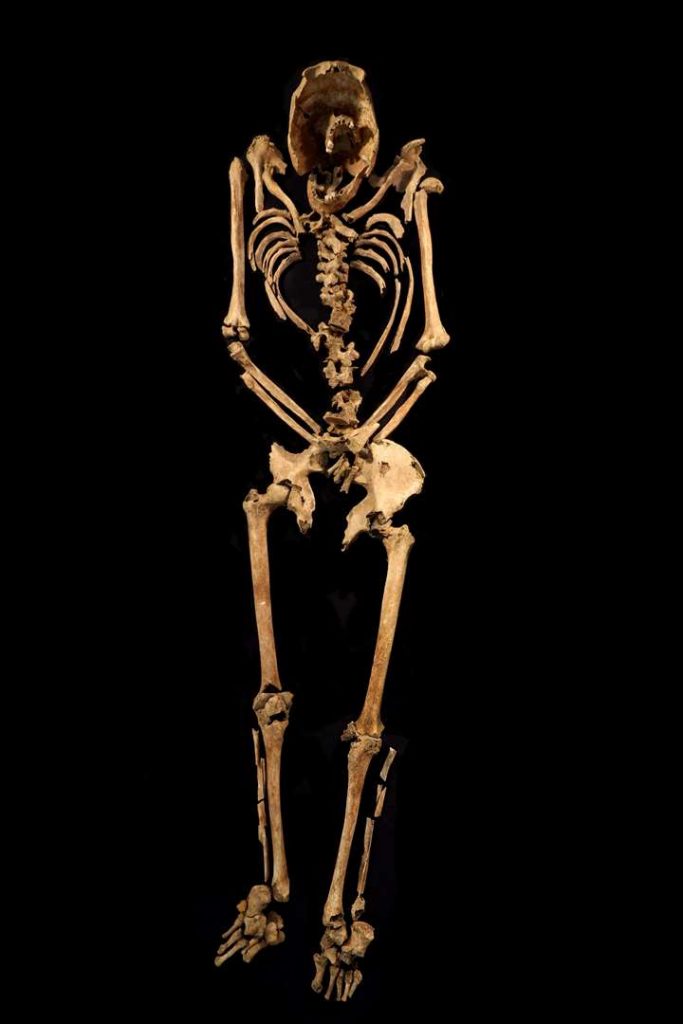Crucified skeleton. Pic by Albion Archaeology and Adam Williams.