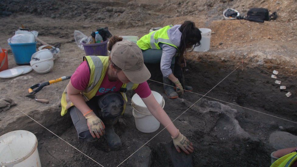 The team recovered bones including tusks, leg bones, ribs and vertebrae belonging to a species of Steppe mammoth