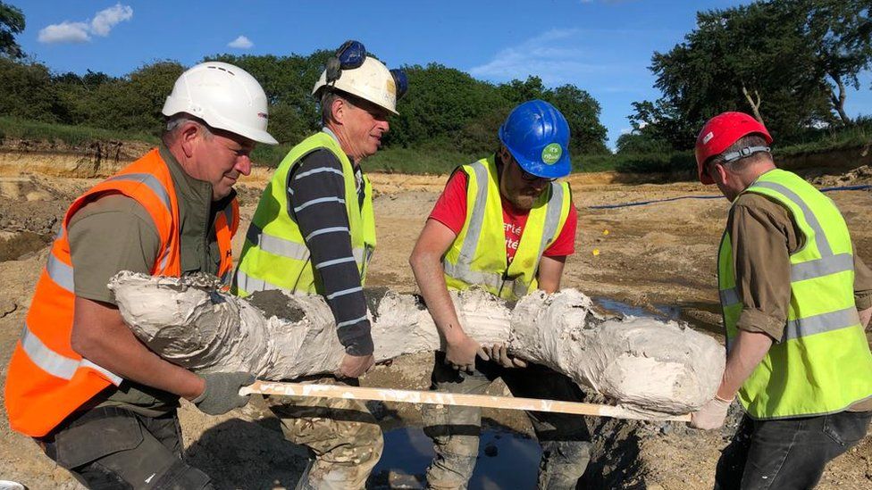 The remains of at least five Ice Age mammoths were found at the quarry
