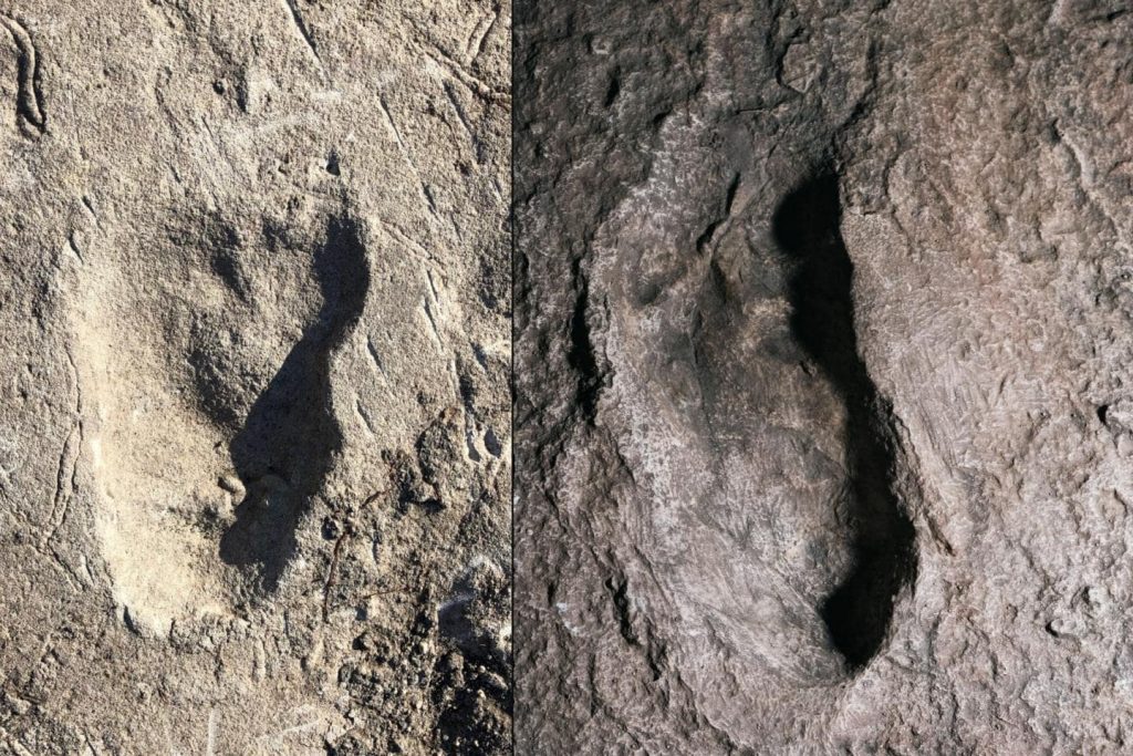 Comparing the A3 (photo on left) and G footprints revealed that the A3 and G footprints differ in width. On right is a cast of G1. (Photos by Jeremy DeSilva [left] and Eli Burakian ’00)