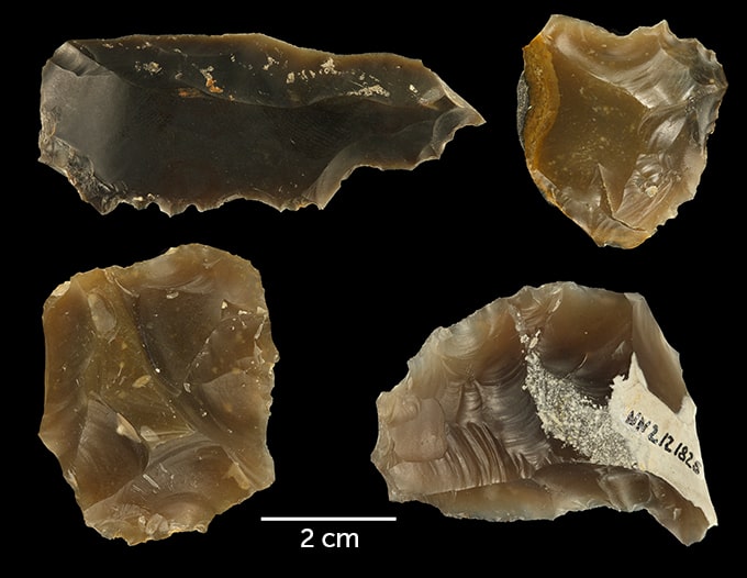 Numerous stone artifacts such as these, unearthed at the Neumark-Nord site in Germany, contributed to a reconstruction of Neandertals’ environment-altering behaviors over a span of around 2,000 years.