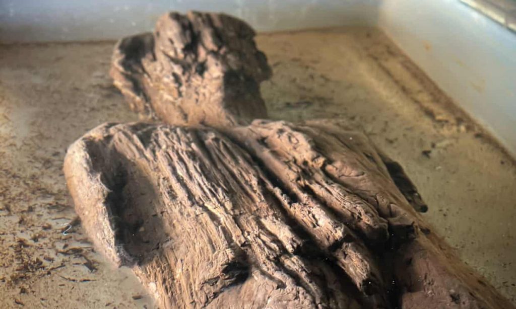 Lack of oxygen in the ditch helped prevent the Roman figure from rotting over many centuries. Photograph: HS2