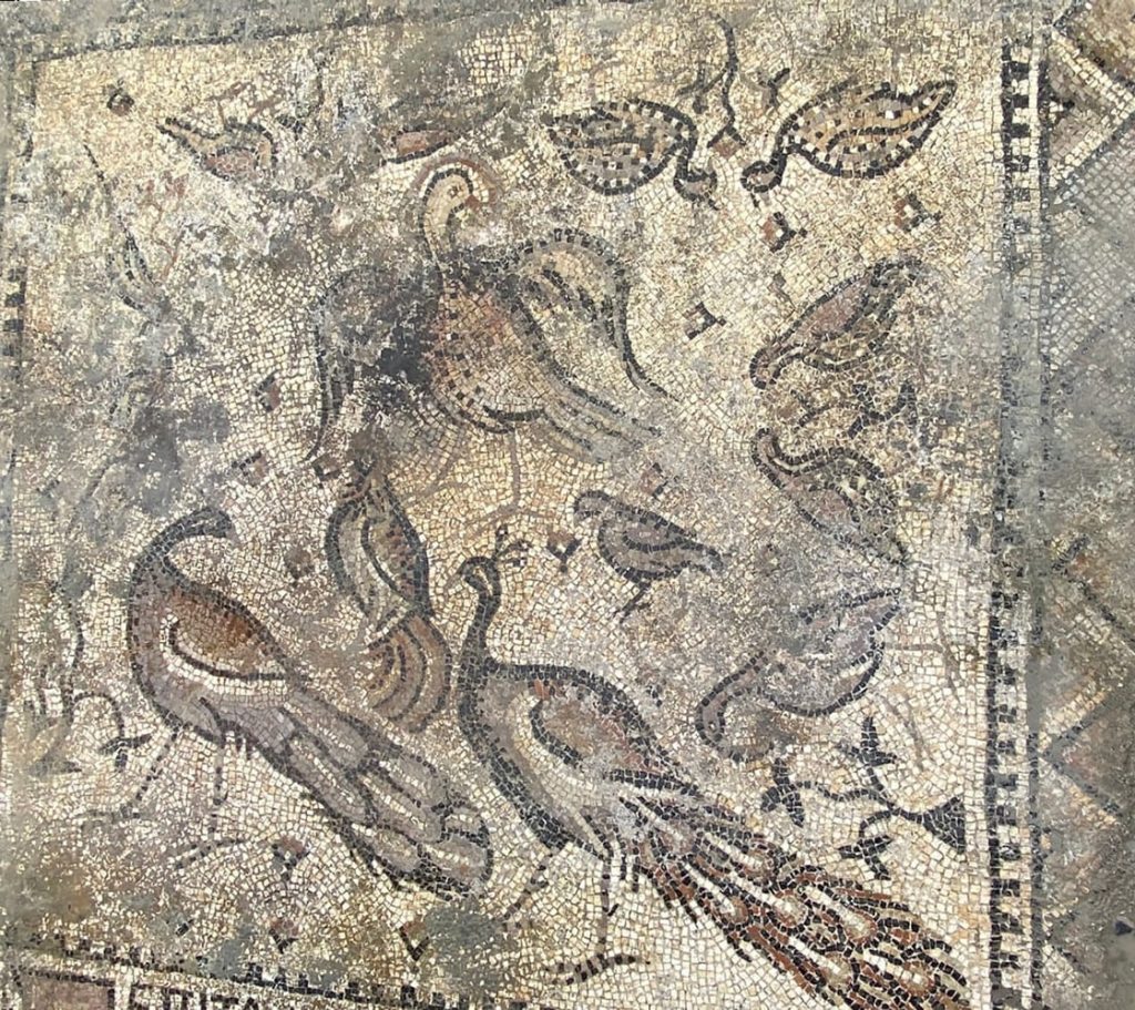 There are peacocks and an inscription on the mosaic. 