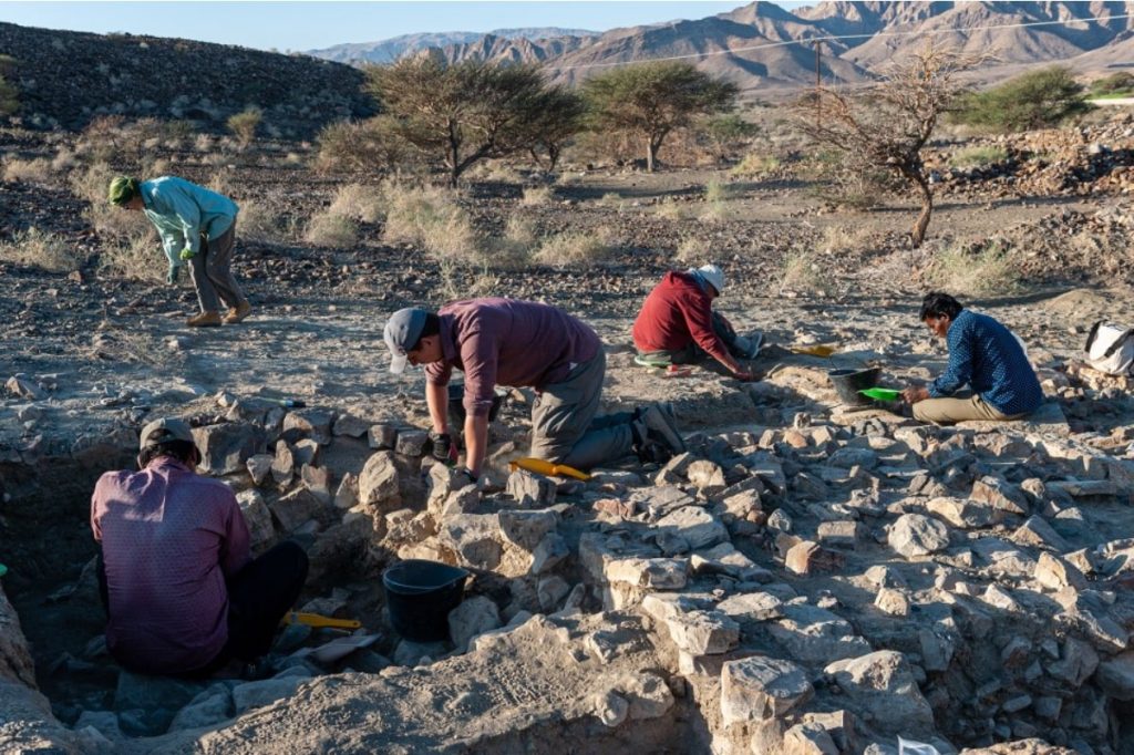 The Polish-Omani team at work (photo: Polish Centre of Mediterranean Archaeology, University of Warsaw)