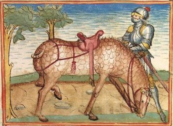 According to new research, medieval warhorses were shockingly diminutive in height.