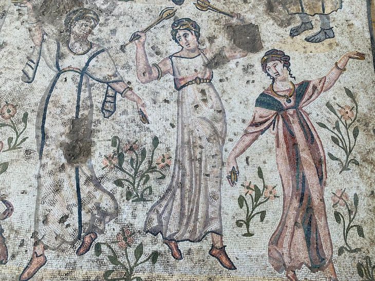 1,500-year-old feast mosaic found in Turkey