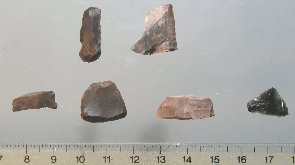 Lithic tools/flakes found in the Boundary Waters Canoe Area Wilderness in northern Minnesota. The obsidian flake at bottom right was sourced to Idaho.Courtesy USDA | Superior National Forest