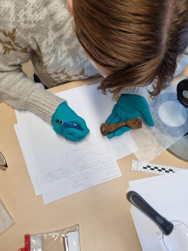 Professor Kristel Zilmer works with the reading of the third runic inscription from excavations in the Medieval Park. Photo:  Jorid Martinsen, NIKU.