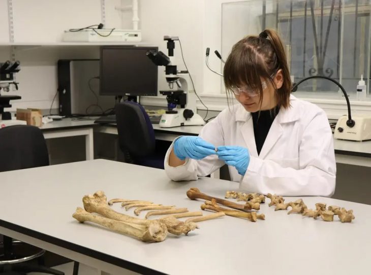 Dr Orsolya Czére examining bones ahead of isotope analysis (University of Aberdeen/PA)