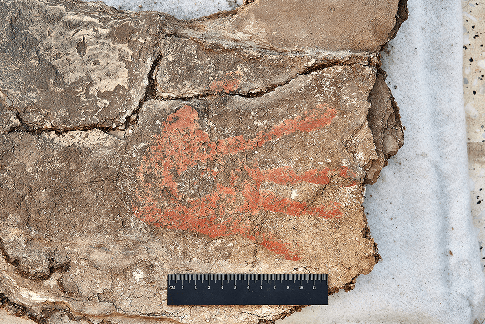 Hand Print on the wall. Photo: Jason Quinlan/Çatalhöyük Research Project