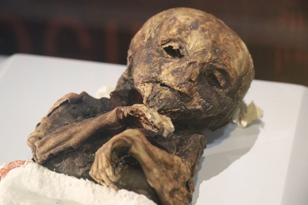 Mummy of a baby displayed at the Aksaray Museum, in Aksaray, Turkey. (IHA Photo)