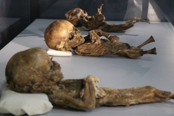 Mummies of babies are displayed at the Aksaray Museum, in Aksaray, Turkey. (IHA Photo)