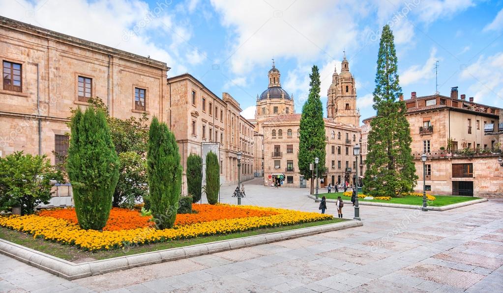 View of Cathedral of Salamanca, Castilla y Leon region, Spain.