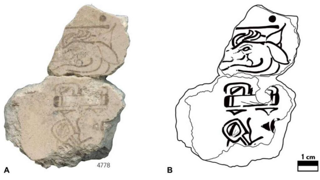 The combination of the Maya 7 and a drawing of a deer on this mural fragment (line drawing for clarity on right) represent probably the oldest representation of the Maya calendar. Photo: Scans by Heather Hurst and illustration by David Stuart. Science Advances (2022). DOI: 10.1126/sciadv.abl9290
