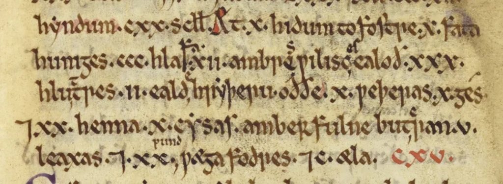 Food list was compiled during the reign of King Ine of Wessex (c. 688-726), part of the Textus Roffensis. Image: Chapter of Rochester Cathedral