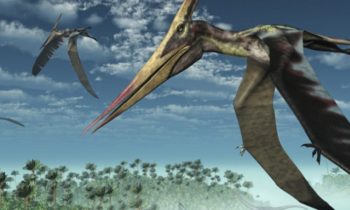 ancient flying reptiles Pterosaurs-min