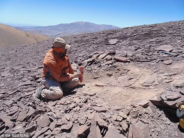 The find was made about 40 miles from another site where other pterosaur remains had been found, supporting a theory these reptiles were once widespread in Chile