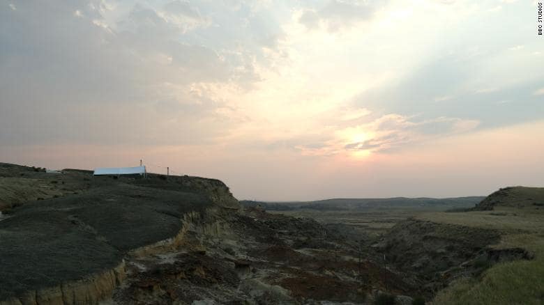 The Tanis fossil site in North Dakota would have been a swampy rainforest 66 million years ago.