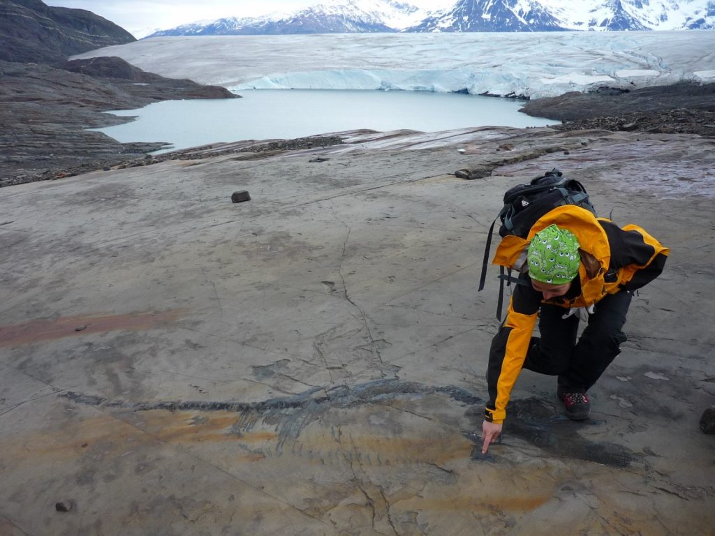 The remains of the creature, which researchers from the University of Manchester have named Fiona, were unearthed from a melting glacier deep in the Patagonia.