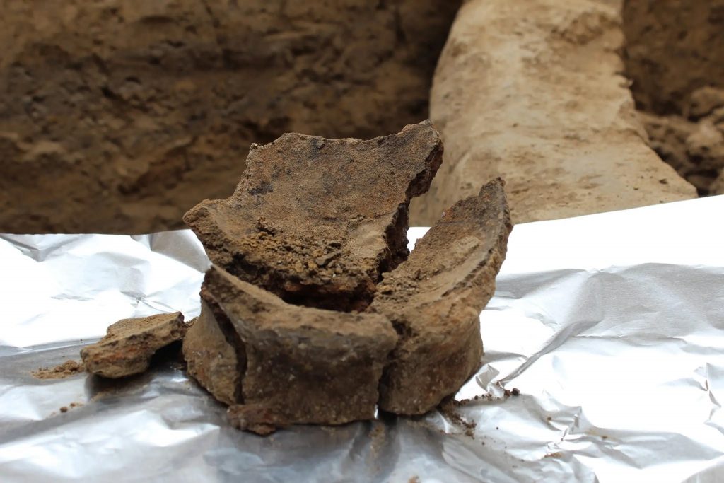 The base of a Neolithic jar recovered from a Neolithic site in Georgia. Researchers found wine residue on pottery shards at two Georgian sites going back to 6,000 B.C. Photo: Judyta Olszewski
