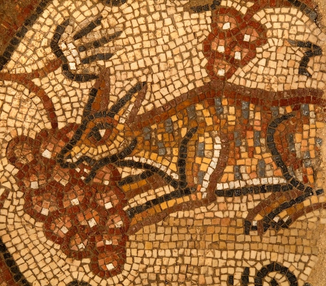 Fox eating grapes depicted in the Huqoq synagogue mosaic. Photo: Jim Haberman)
