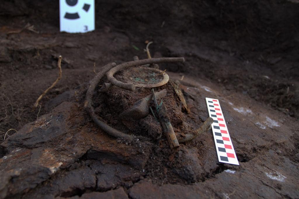 A close view of the artifacts accumulated in the peat bog. Photo: Mateusz Sosnowski